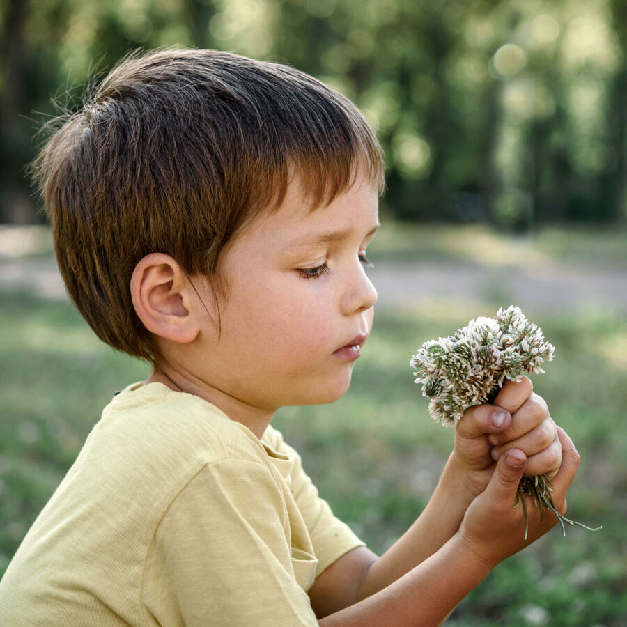 Imagem cute-little-boy-smelling-white-clover-flowers-picking-flowers-summer-summer-children-outdoor-activity 1 1